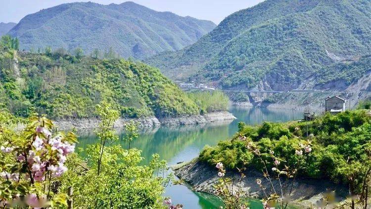 樱花岛旅游区 近年来,房县紧紧围绕"生态文化旅游健康城"建设目标