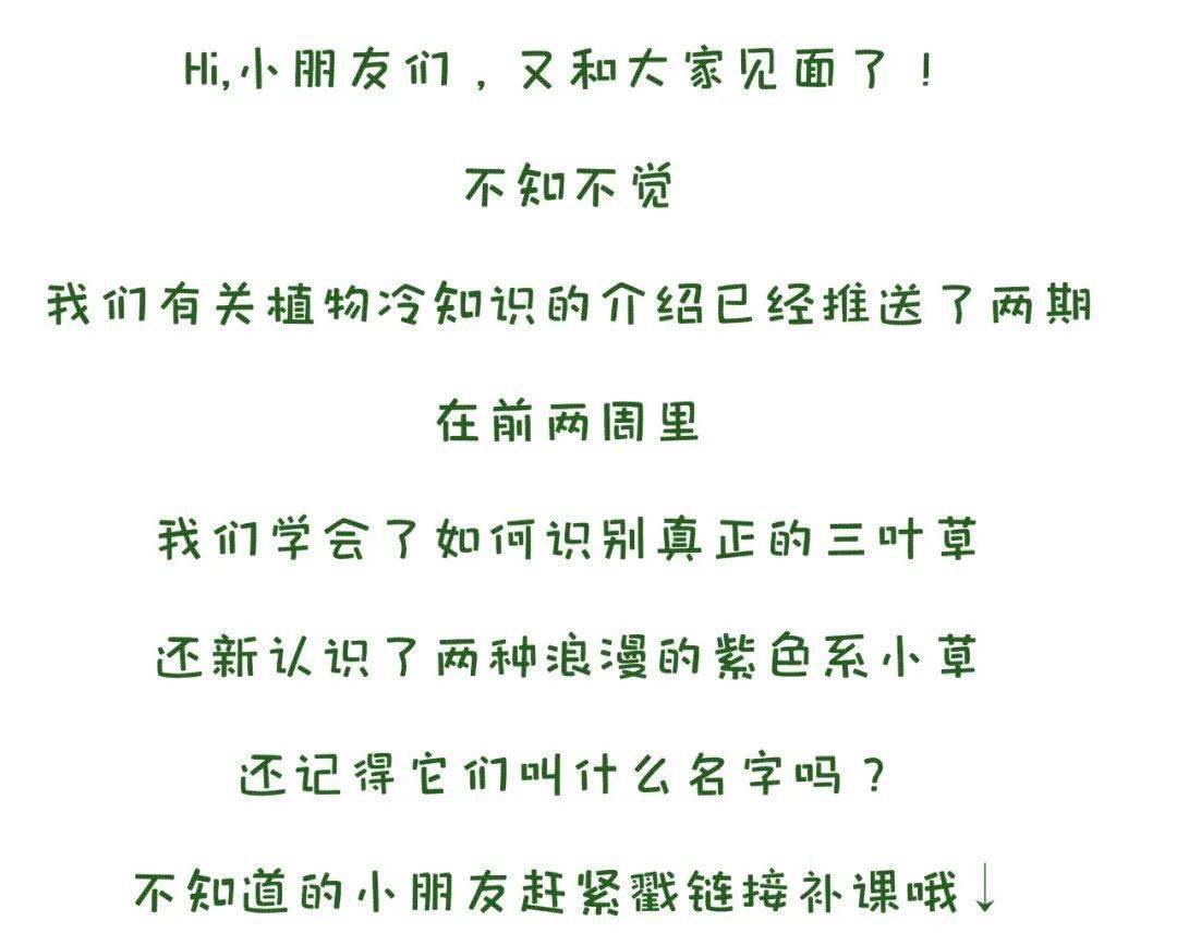 b5e035391b1247a1b4a596949163177a.jpeg