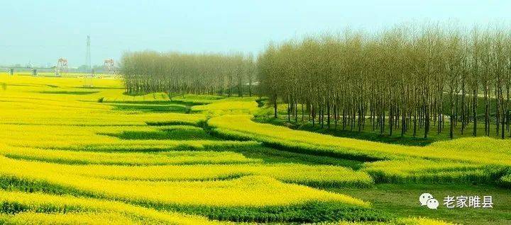 睢县多少人口_睢县北湖公园图片