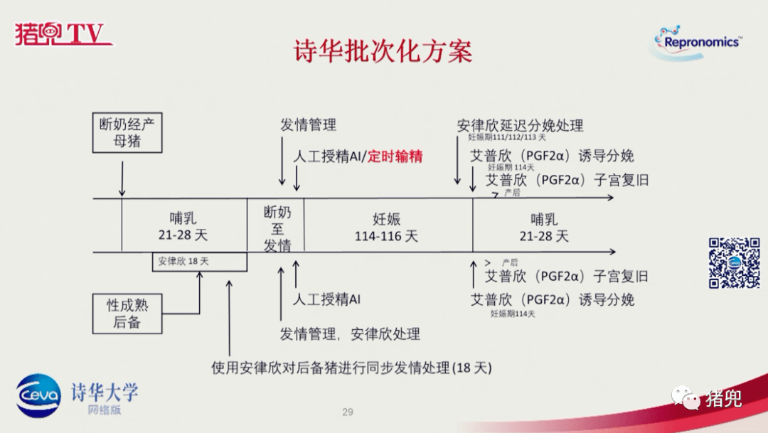 秀什么士成语_成语故事图片(3)