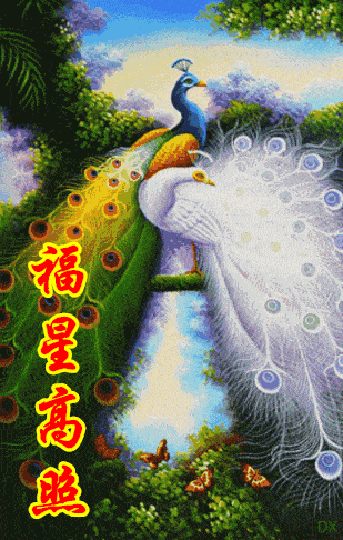 309_486 竖版 竖屏