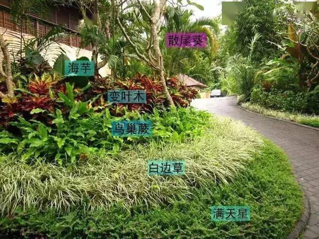 多重绿化景观:树不在多,巧植就行_植物