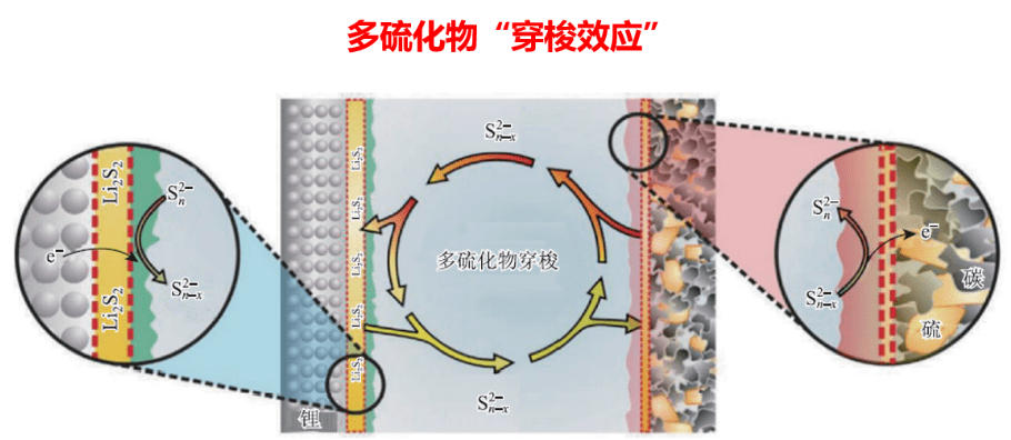 图2 锂硫电池中多硫化物"穿梭效应"