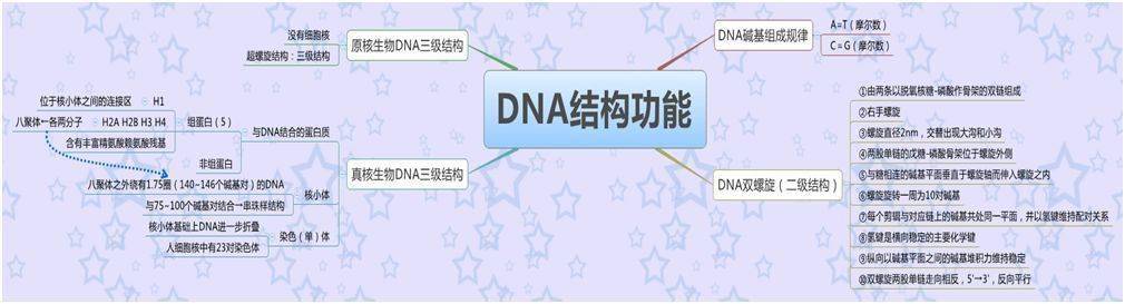 生物化学思维导图