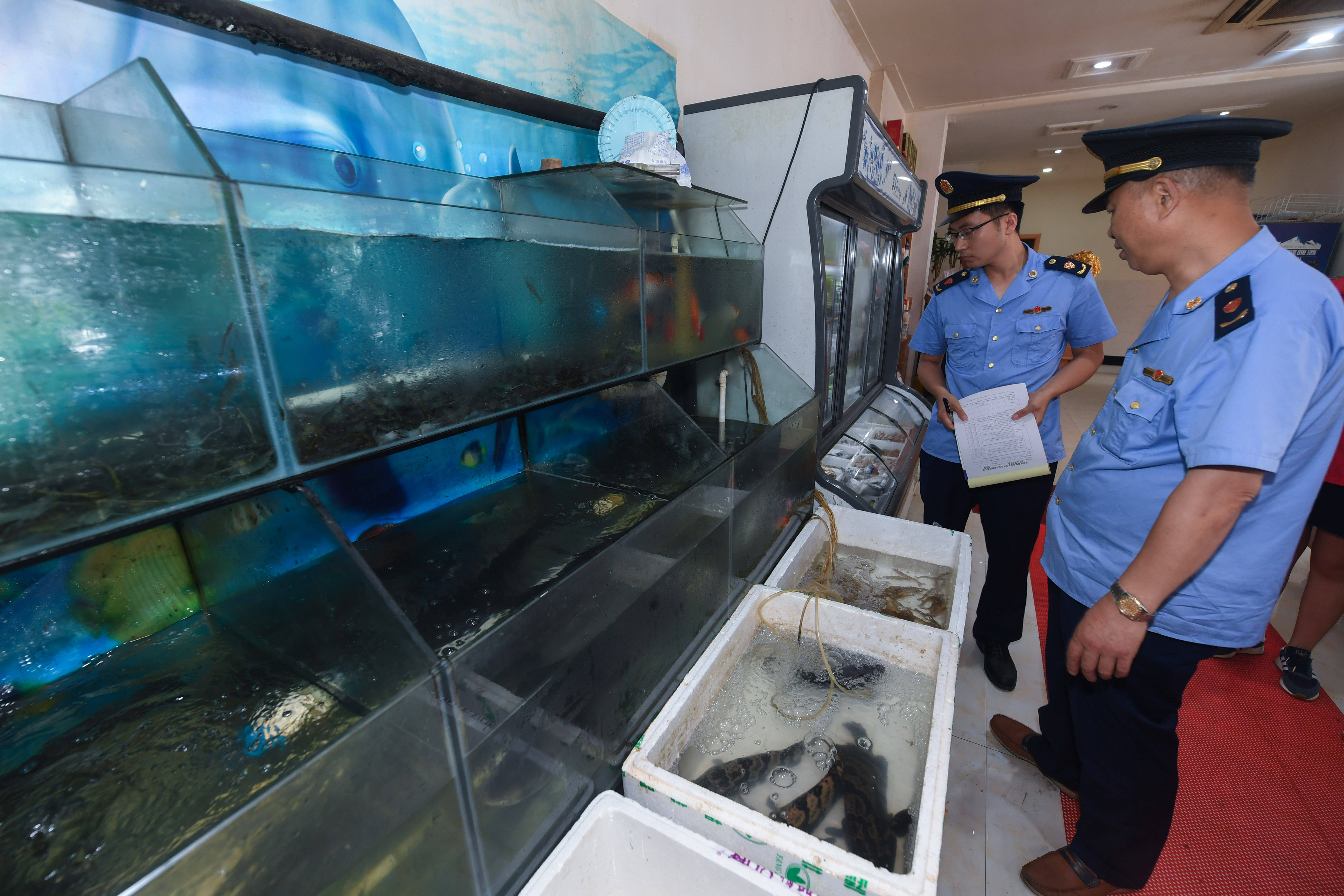 野味|浙江湖州：开展专项执法检查 杜绝野味