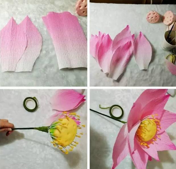 荷塘月色夏季主题荷花睡莲夏季手工必备