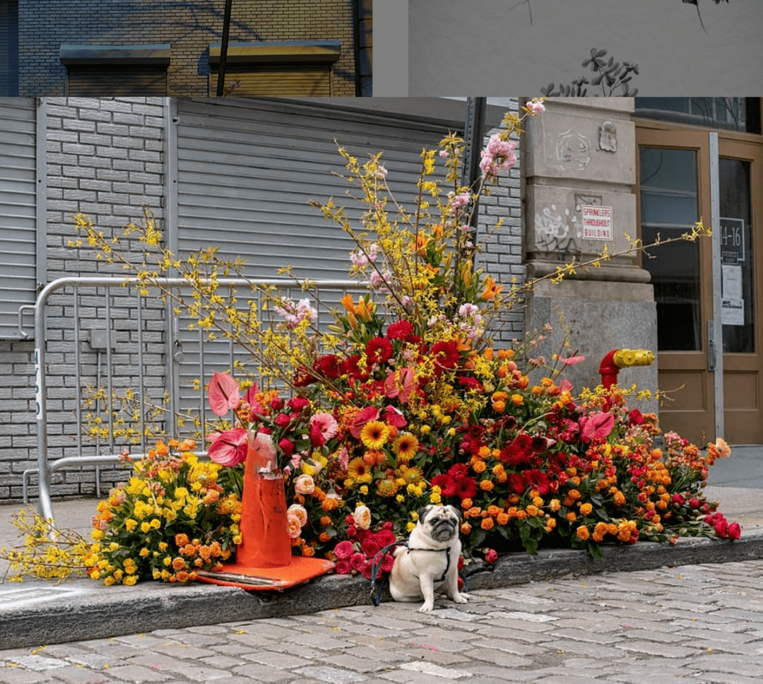 在new york-presbyterian hospital医院的门口,鲜花缠绕着路灯蜿蜒而