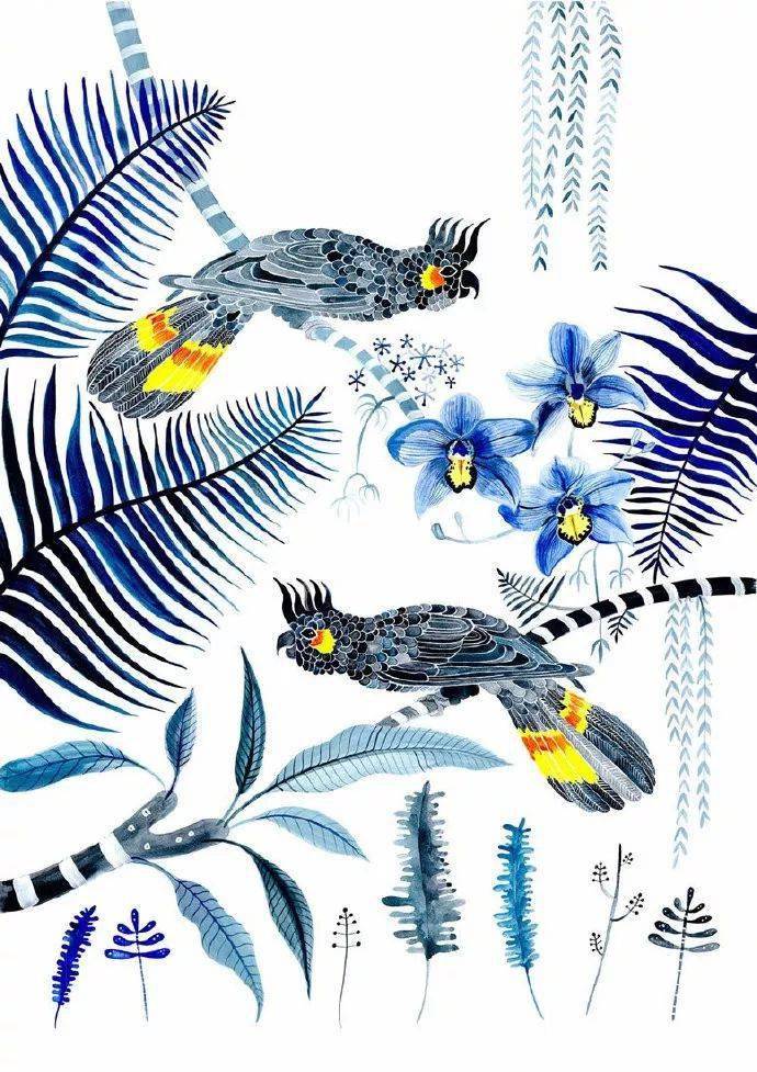 植物插画 | 一组花卉插画作品欣赏!