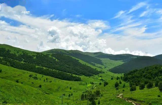 京西第一雾山翠云山,长城岭,喜鹊梁,和平森林公园将崇礼层层包围,这里