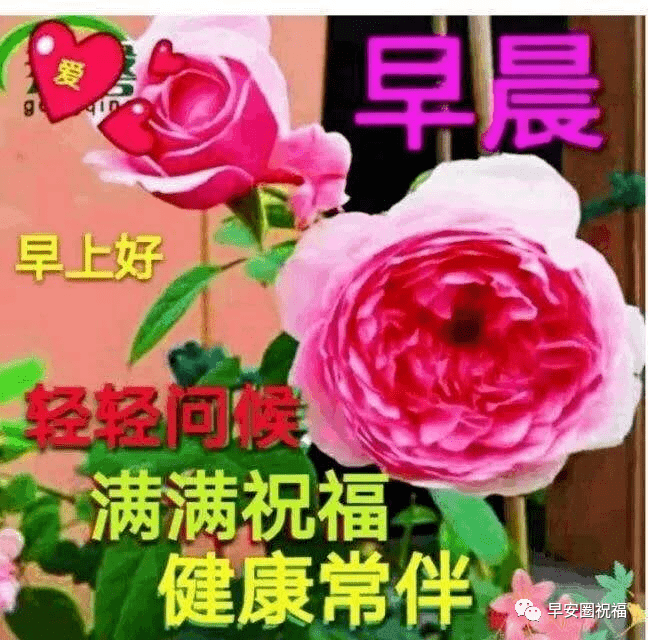 5张特别好看的早上好图片清晨祝福 最美的早上好短信祝福图片