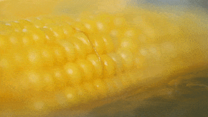 2d43af1cf9c94bd6b684b0a45e4fc00f.gif