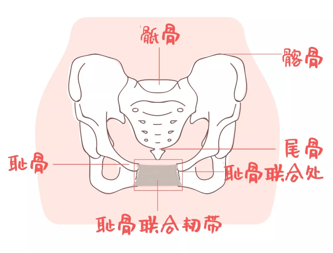 骨盆变形记|产后骨盆修复为什么一定要做!