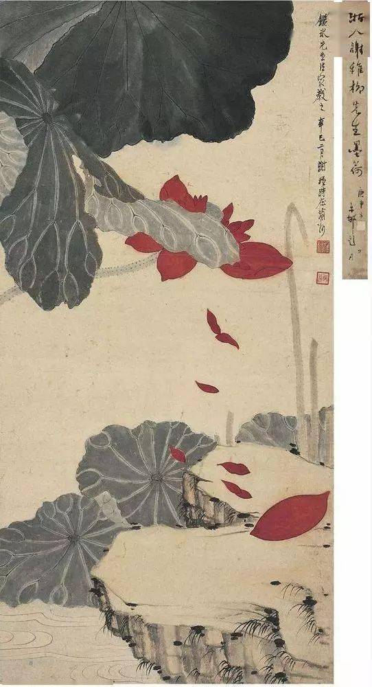 謝稚柳 花鳥 谢稚柳最漂亮的花鸟60副！