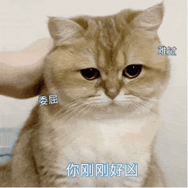 喜欢表情包的憨憨在吗?今天好多图!