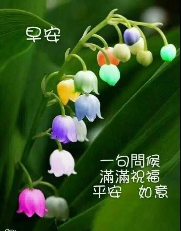 6月19日周五清晨早上好问候祝福动态表情图片 6月最新早安问候祝福