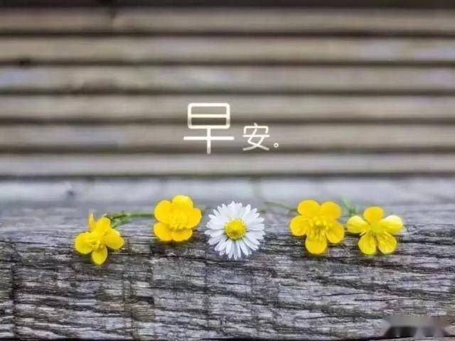 早安心语:忘不掉的是回忆,继续的是生活