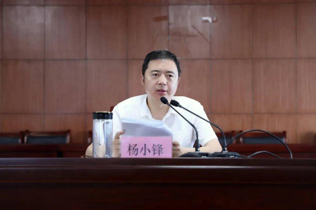 镇党委书记杨小锋出席会议并讲话,传达学习市委杨雪峰书记在6月19日