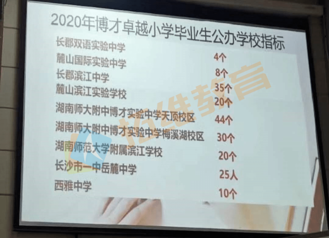 砂子塘!青园!2020长沙各小学微机派位指标分配情况公布!