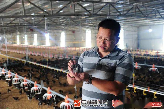 全国扶氏人口_赖氏全国人口分布图