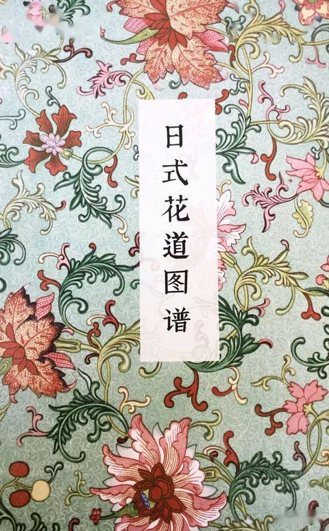 花道简谱_花道常(3)