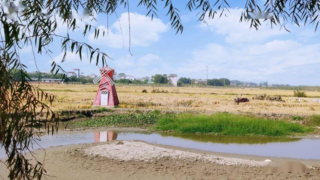 桂平市紫荆镇GDP_桂平市紫荆镇中心小学(2)