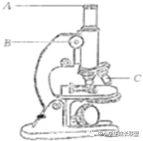 e35ab8091e114cd28289a8f24002c2f2.png