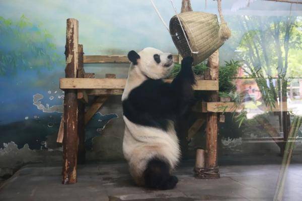 无锡|“缘大”回川，等你回来！