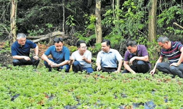 脱贫奔康路扶上马送一程