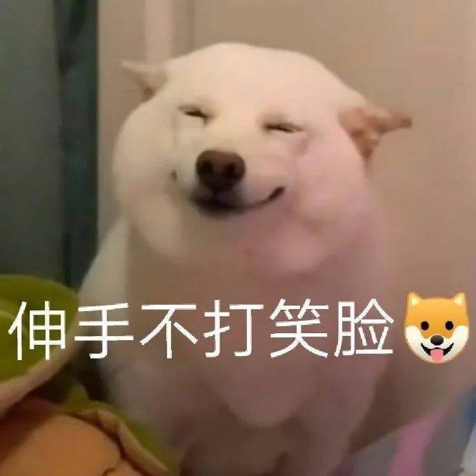 表情包杂集猛狗哭泣