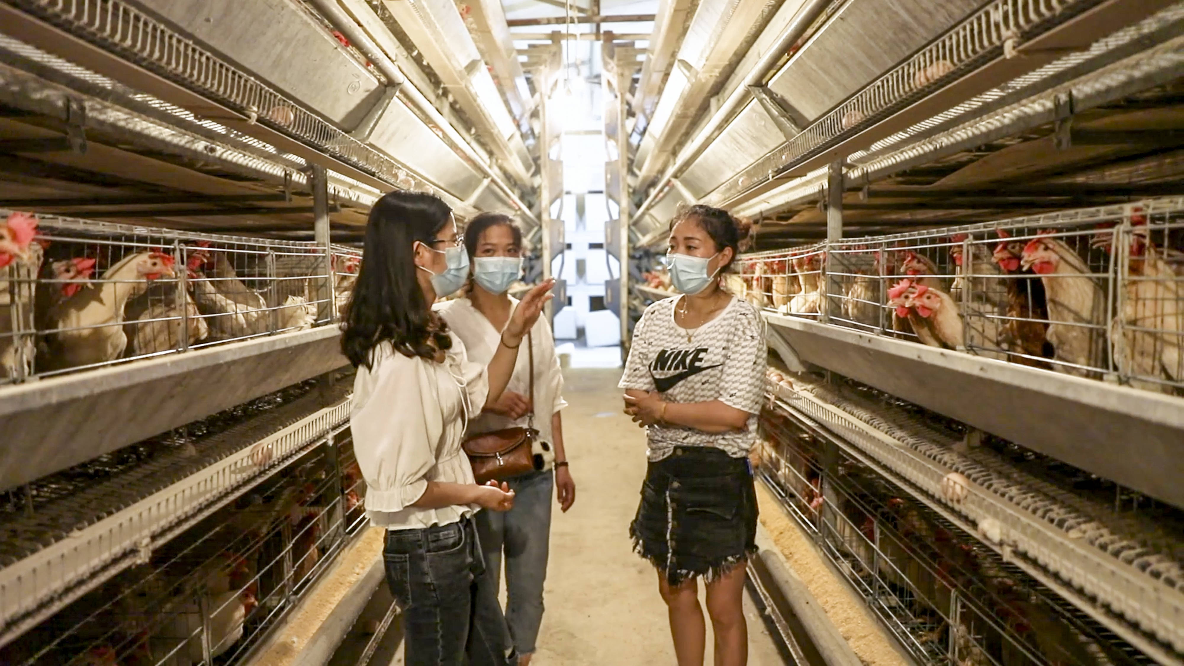 老厂乡|基层天地广阔 青春大有作为——聚焦“三支一扶”计划实施十五年