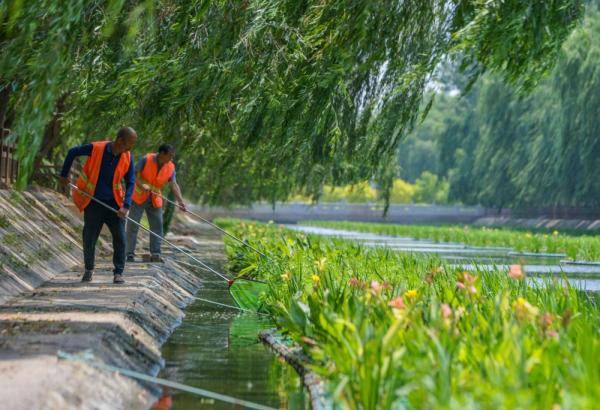 净水|“生态浮岛”净水靓城