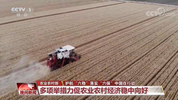 全力|做好“六稳”工作落实“六保”任务 各地正在全力推进中