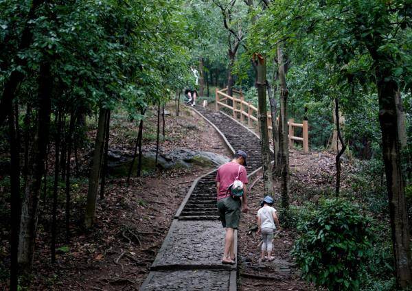 刘颖|雨后天马山
