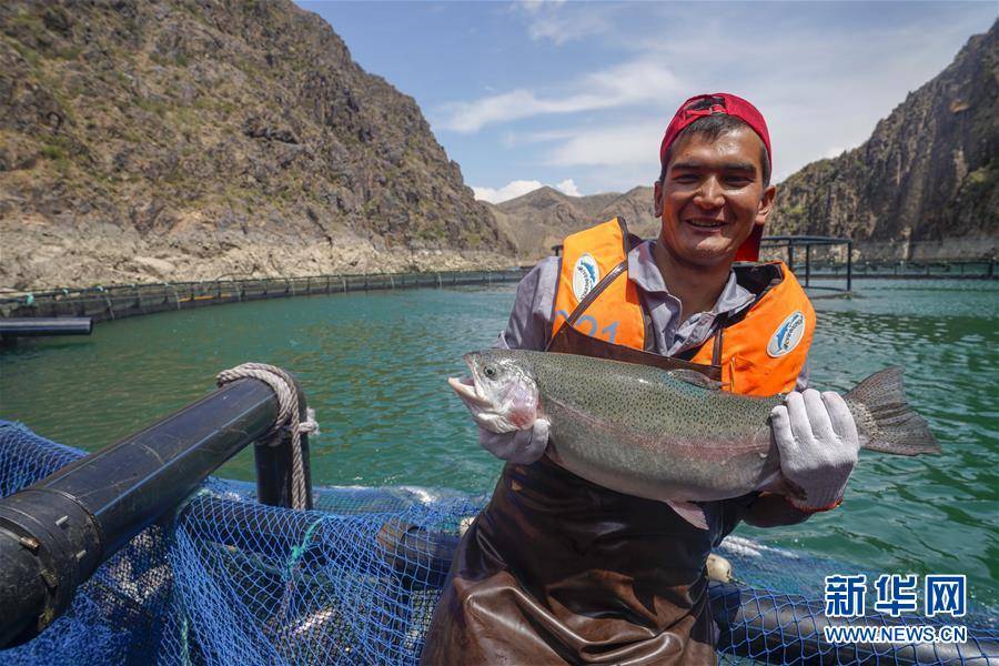 尼勒克县|天山深处牧渔乐