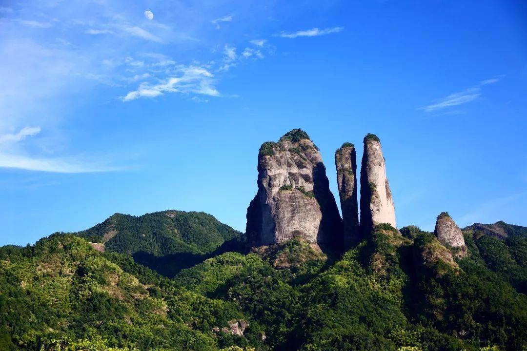 项目范围:柯城灵鹫山森林运动小镇及其周边森林山地. 项目内容