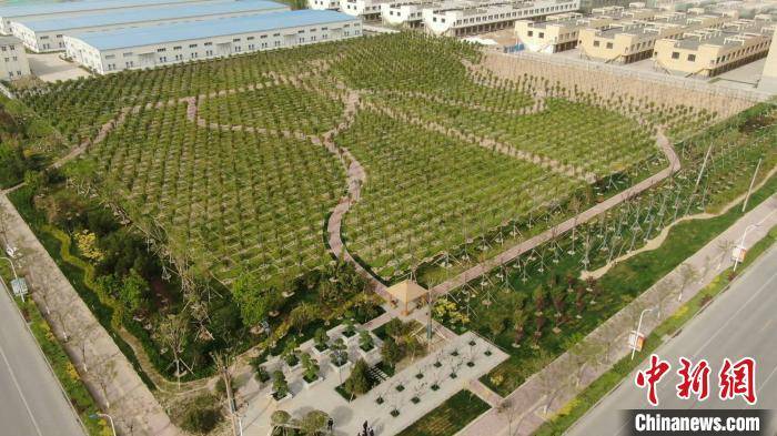 石家庄循环化工园区gdp_石家庄化工园区规划图