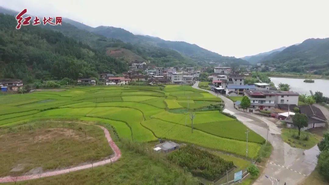 【乡村振兴】漳平市芦芝镇:贫困户化身带头人 支持"一革命四行动"