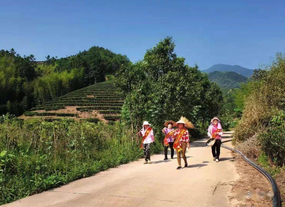 【省级乡村试点村(三 漳平市南洋镇梧溪村:推进农村人居环境整治