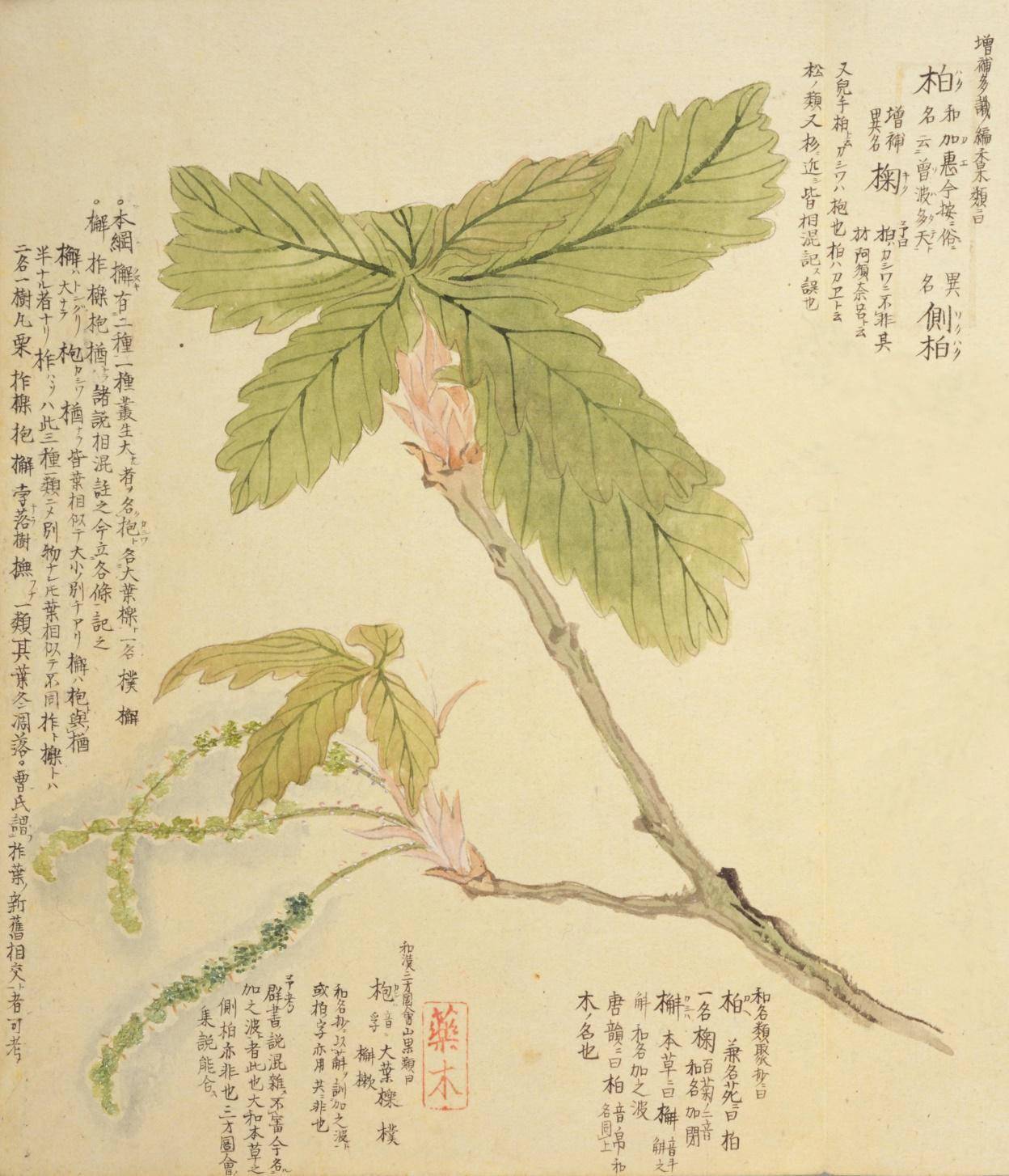 花简谱日本_日本国旗图片