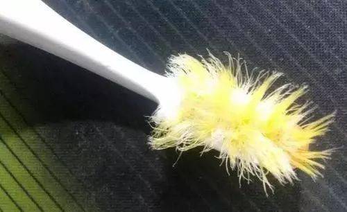 日本人都在用这款牙刷!刷牙效果堪比洗牙,口臭牙龈出血全解决!