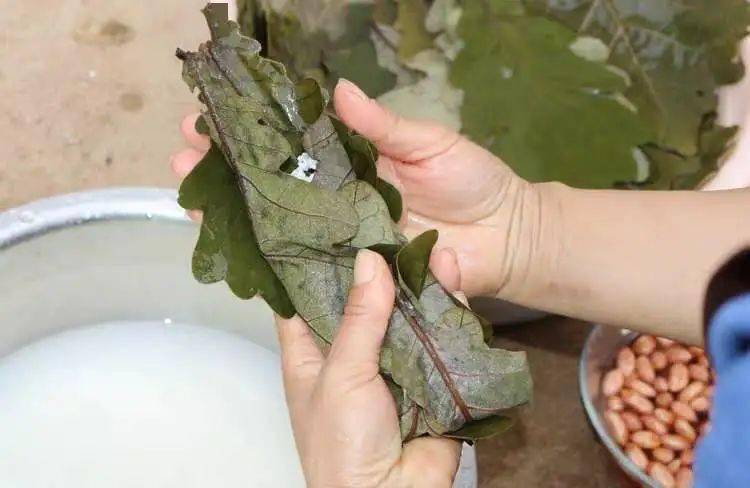 端午佳节遇见粽子之祖好吃不腻的桲椤叶粽