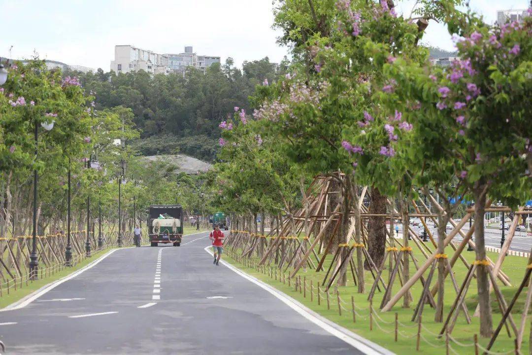 人工瀑布,温室植物园…珠海市中心这个公园即将惊艳到