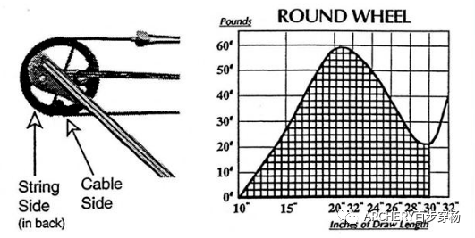 射箭手册--弓箭的沿革(复合弓)