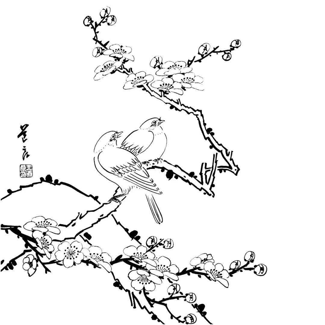 花鸟的白描就应该这么画