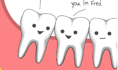 ①正位智齿:跟其他牙齿一样,可以直立着萌出到口腔内,可以是部分萌出