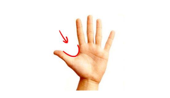d58d4b758a744bbea7831f8192e72414.png