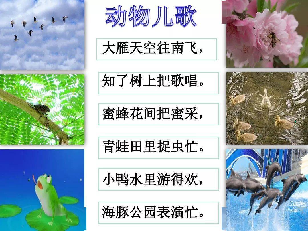 【在线课堂】统编语文一年级下册识字5《动物儿歌》图文讲解 教学视频