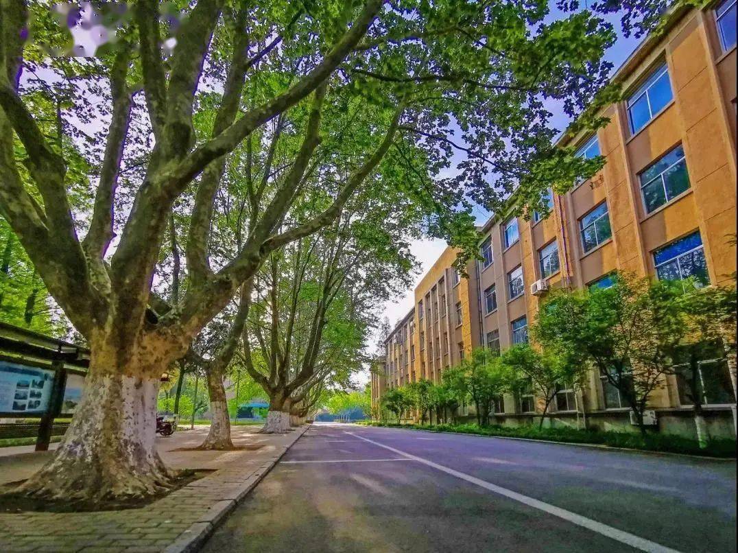 青岛新生人口_青岛黄海学院新生宿舍