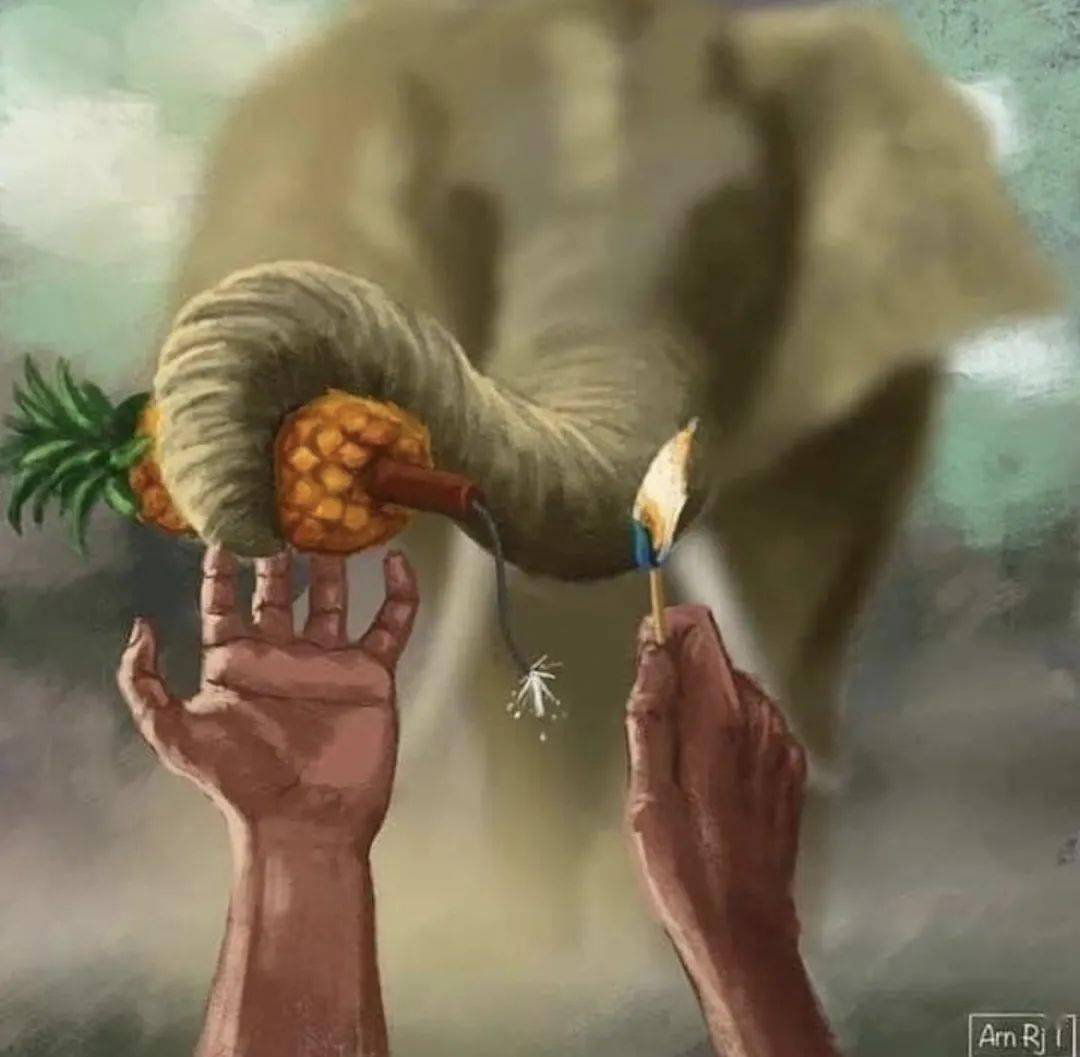梦境启示录，解析梦到蟒蛇把大象吃了的深层寓意