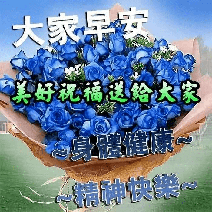 非常漂亮的早上好鲜花带字问候图片大全 六月最温馨的